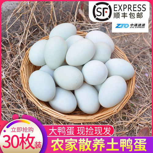 农村玉米散养产地直销