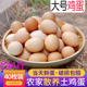 散养土鸡蛋50克农家散养新鲜农村自养天然笨鸡蛋柴鸡蛋草鸡蛋整箱