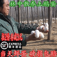 鹅蛋新鲜6枚孕妇农家杂粮喂养土鹅蛋正宗笨鹅蛋顺丰包邮 100-120g