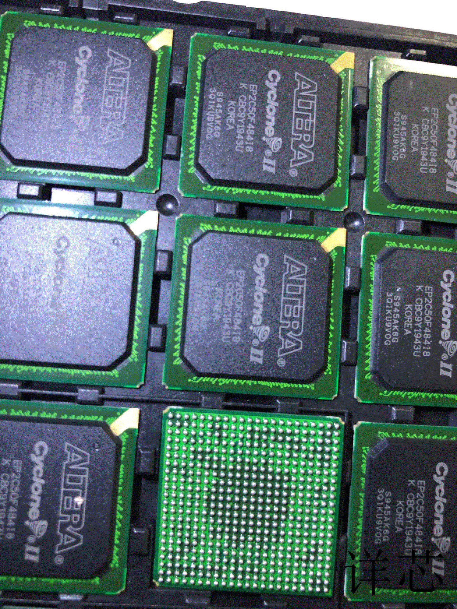 EP2C50F484I8N  EP2C50F672I8N  EP2C50U484I8N原装