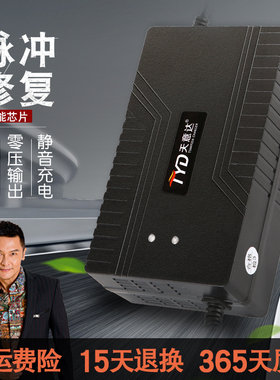 天意达电动车电瓶车充电器静音24V20AH48V20AH60V爱玛雅迪通用T型
