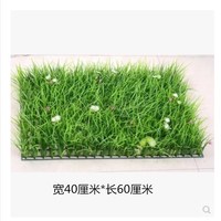 仿真草坪植物墙室内假草坪带花塑料绿植秧草加密阳台装饰人造草皮