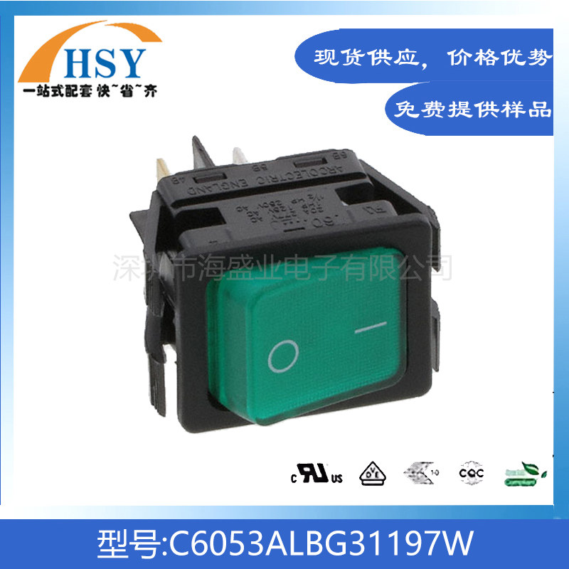 C6053ALBG31197W进口翘板开关