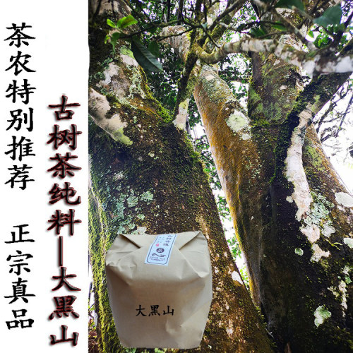 普洱茶生茶生态景谷古树茶老树茶