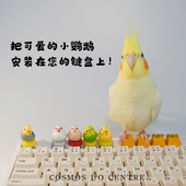 宇宙外设限定可爱玄凤鹦鹉黄色小鸟手办键帽生日礼物个性 饰摆件 装