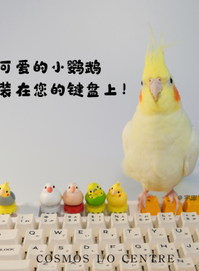 宇宙外设限定可爱玄凤鹦鹉黄色小鸟手办键帽生日礼物个性装饰摆件