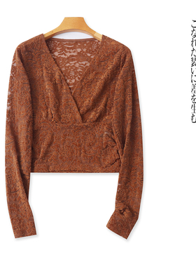 提花植绒蕾丝衫  秋季新款外贸女装时尚V领套头长袖透视上衣31790