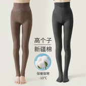 高腰收腹高密度八面弹打底裤 冬新款 2501 连袜裤 加绒细条棉踩脚裤