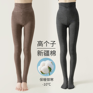 高腰收腹高密度八面弹打底裤 冬新款 2501 连袜裤 加绒细条棉踩脚裤