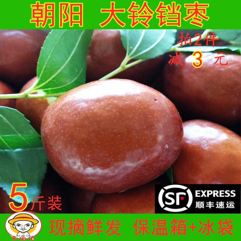 金铃圆大枣大铃铛枣顺丰枣园直发