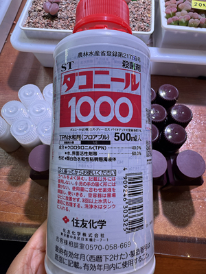 日本ST杀菌1000达克灵精邮费6块带多肉单免邮，新疆偏远邮费11块
