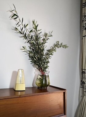 新鲜油橄榄枝条 扦插嫁接枝   婚礼生日开业庆典插花装饰花环花篮