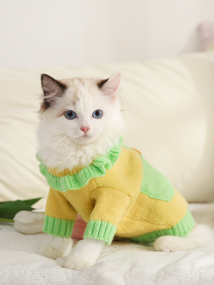 猫咪衣服冬季小猫幼猫秋季猫猫秋冬秋装布偶蓝猫防掉毛衣冬天毛衣