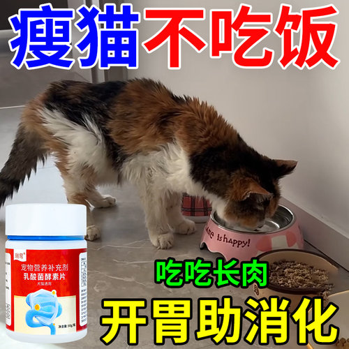 猫咪消食片不吃饭没精神助消化