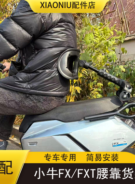 小牛FX/FXT可伸缩调节腰靠后靠背尾架货架风速/citi/sport配件