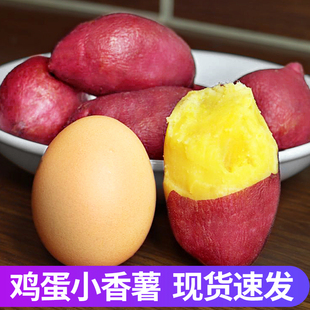 新鲜板栗红薯5斤蛋蛋果临安天目山小香薯鸡蛋圆番薯农家自种地瓜