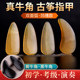 天然牛角古筝指甲儿童专用凹槽款 成人专业黄黑牛角似玳瑁古筝甲片
