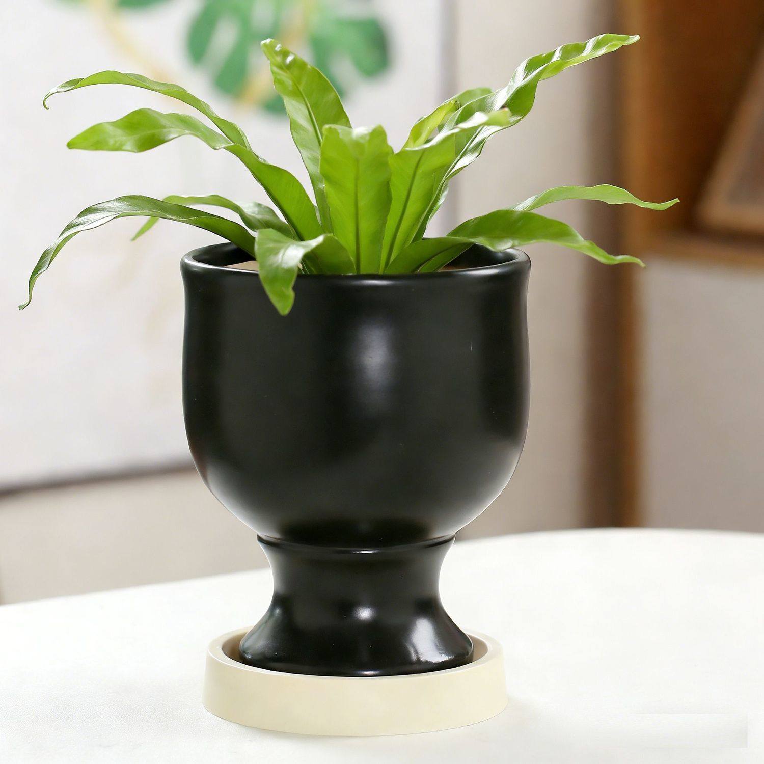 ins奶油风北欧陶瓷花盆轻奢简约家用梦香兰多肉绿植盆景盆蝴蝶兰,鲜花速递/花卉仿真/绿植园艺,花盆,淘宝优惠券,粉丝福利购,淘宝优惠卷