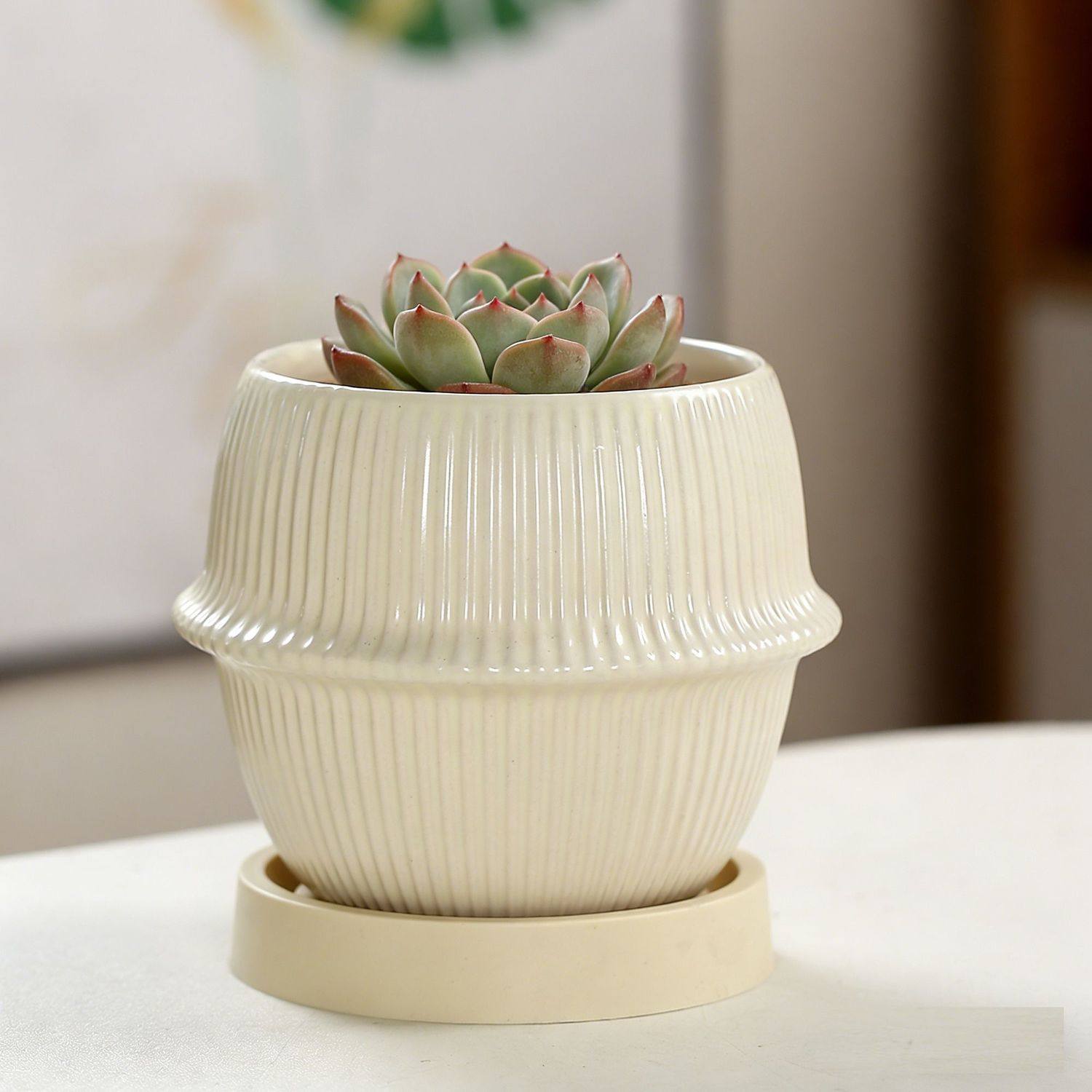 ins奶油风陶瓷花盆蝴蝶兰简约北欧轻奢家用梦香兰多肉绿植盆景盆,鲜花速递/花卉仿真/绿植园艺,花盆,淘宝优惠券,粉丝福利购,淘宝优惠卷