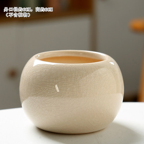 多肉花盆冰裂小巧可爱特价桌面装饰肉肉花盆简约陶瓷家用卡通造型