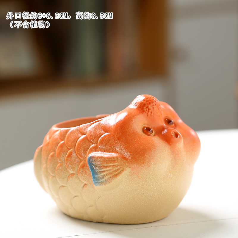 多肉花盆动物特价清仓彩绘手绘创意可爱卡通透气粗陶磨砂桌面陶瓷