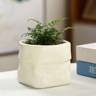 ins奶油风陶瓷梦香兰多肉绿植盆景盆简约花盆蝴蝶兰北欧轻奢家用