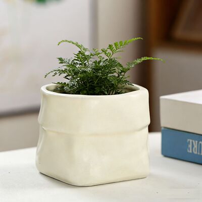 ins奶油风陶瓷梦香兰多肉绿植盆景盆简约花盆蝴蝶兰北欧轻奢家用