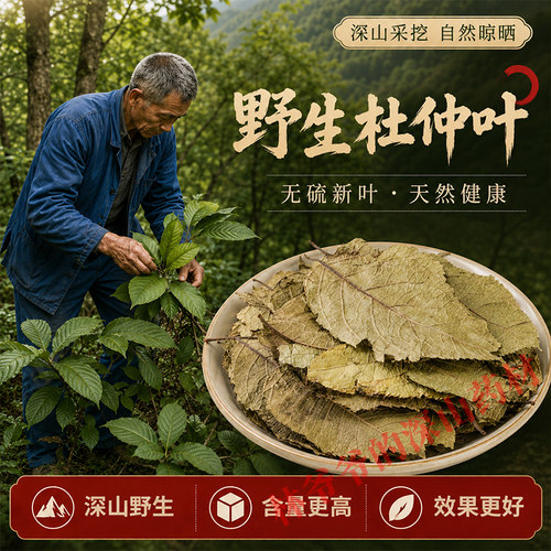 深山野生杜仲叶500g正品中药材