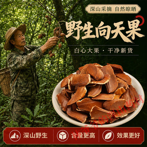 深山野生向天果500g正品中药材