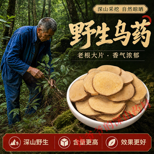 深山野生乌药500g正品高含量中药材天台乌药片矮樟 香桂樟 铜钱柴