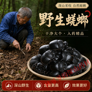 野生蜣螂500g正品中药材整只药用高含量特级大将军推粪虫屎壳郎