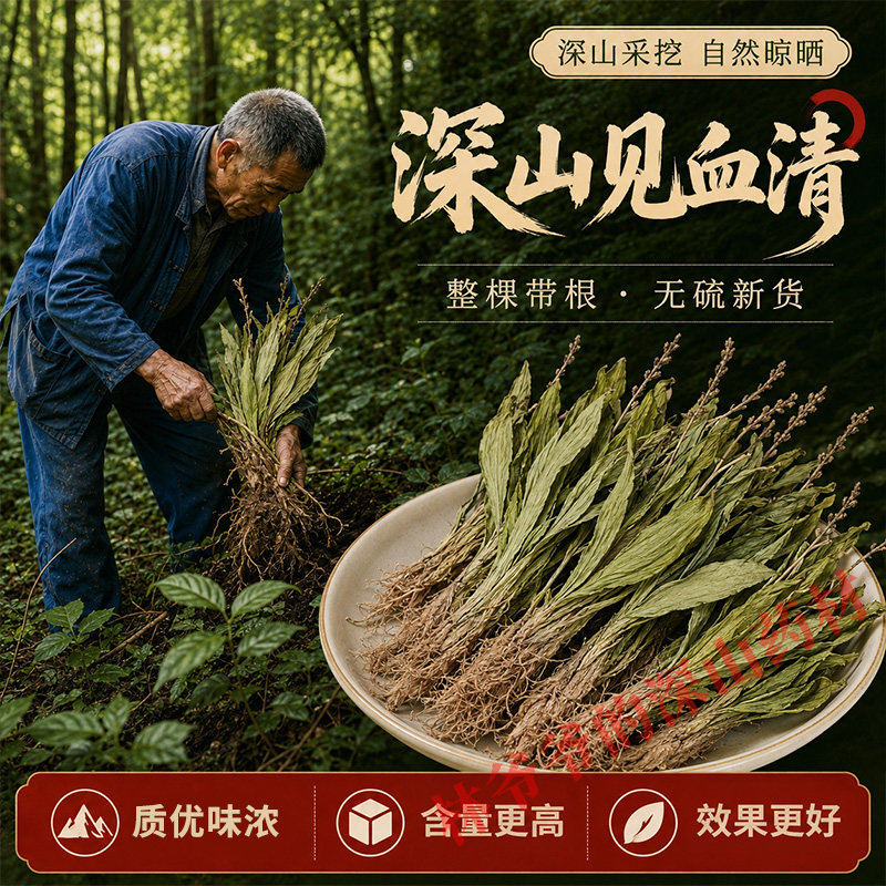 深山天然见血清500g正品中药材无硫新货见血青羊耳蒜立地好中草药