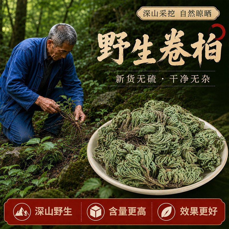 深山野生卷柏500g正品中药材