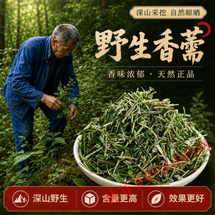 深山野生香薷500g正品中药材香薷草 香如草中草药泡水香薷佩兰茶