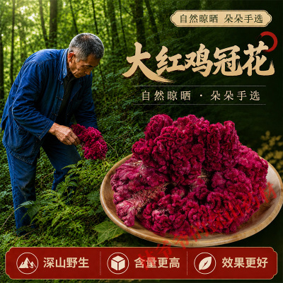 深山野生鸡冠花500g正品中药材