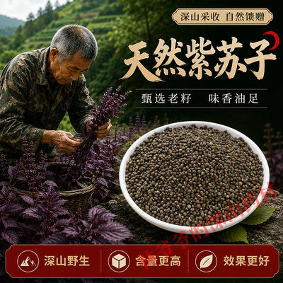 深山野生紫苏子500g正品中药材