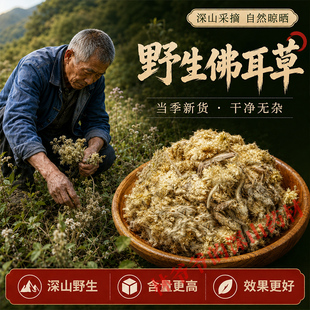 深山野生佛耳草500g正品中药材追骨风鼠曲草 清明草 绒毛草鼠耳草