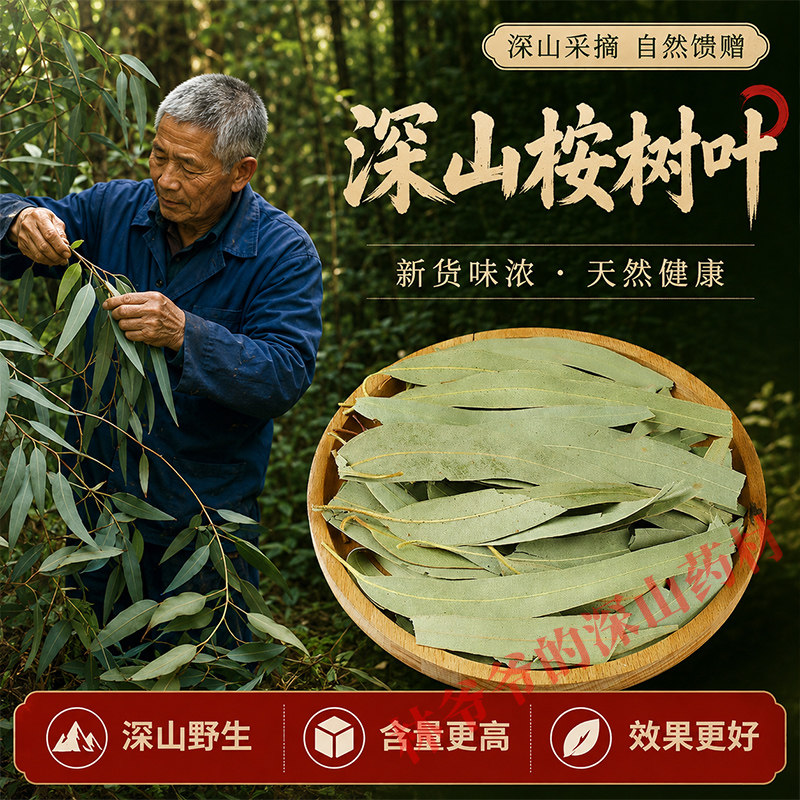 深山野生桉树叶500g正品中药材新货大叶桉 小桉叶 尤加利叶按树叶
