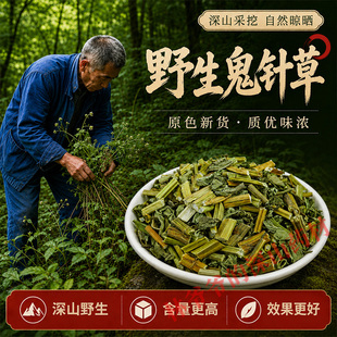 深山野生鬼针草500g天然中药材鬼针草干 鬼针草茶 鬼针草粉中药