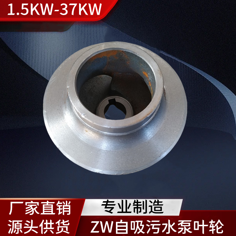 ZW直联自吸污水泵排污泵铸铁叶轮