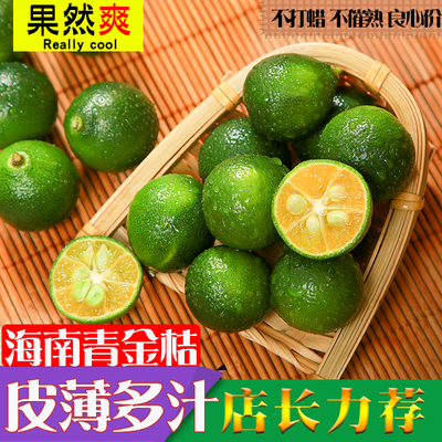 新鲜海南果子批发整箱包邮青金桔