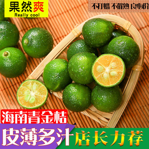 新鲜海南果子批发整箱包邮青金桔