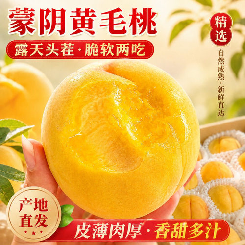 正宗山东蒙阴黄金蜜桃黄皮黄肉毛桃现摘现发新鲜大黄桃软硬两吃桃