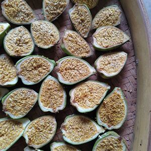 薜荔果凉粉籽山里现摘新鲜凉粉籽
