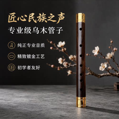 管子乐器专业定音音色好