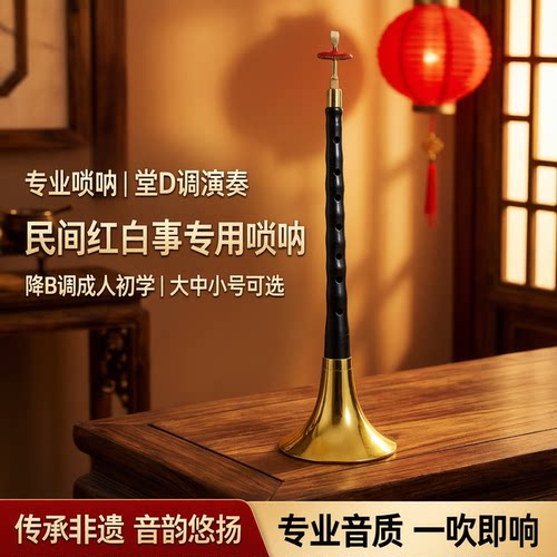 朝凤燕京专业唢呐音准耐用镜面堂