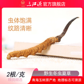 三江源冬虫夏草玉树野生虫草2根1克新草高海拔青海玉树虫草冬虫草