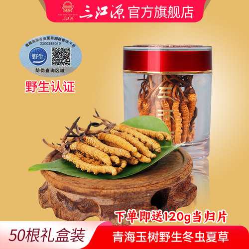 三江源冬虫夏草玉树虫草高海拔