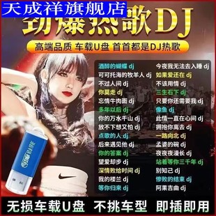 抖音流行火爆催泪DJ情歌车载音乐U盘中文dj完整版 无损高音质MP3