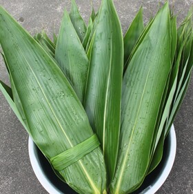 精选特大鲜粽叶粽子叶野生粽叶粽子叶箬竹叶箬叶现摘大粽叶散装
